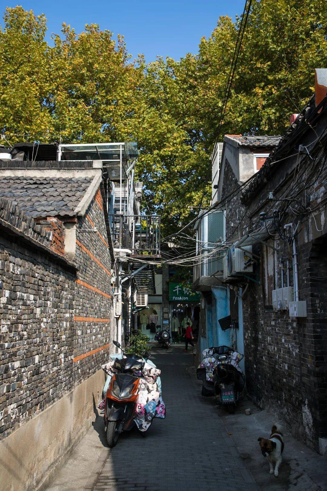 粉妆淡抹总相宜,扬州这条古巷很特别!_巷子_牛肉店_历史