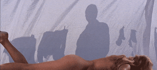 ����ŷ�����˵ġ�����Ů���ǡ�����λ������СҰè����ʵ�е� ...