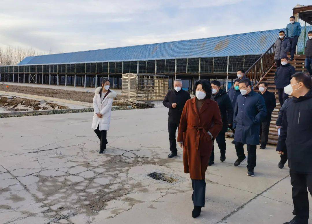 省厅新闻 | 张兰格副厅长赴张家口,沧州两市调研_自然资源_活动_进行