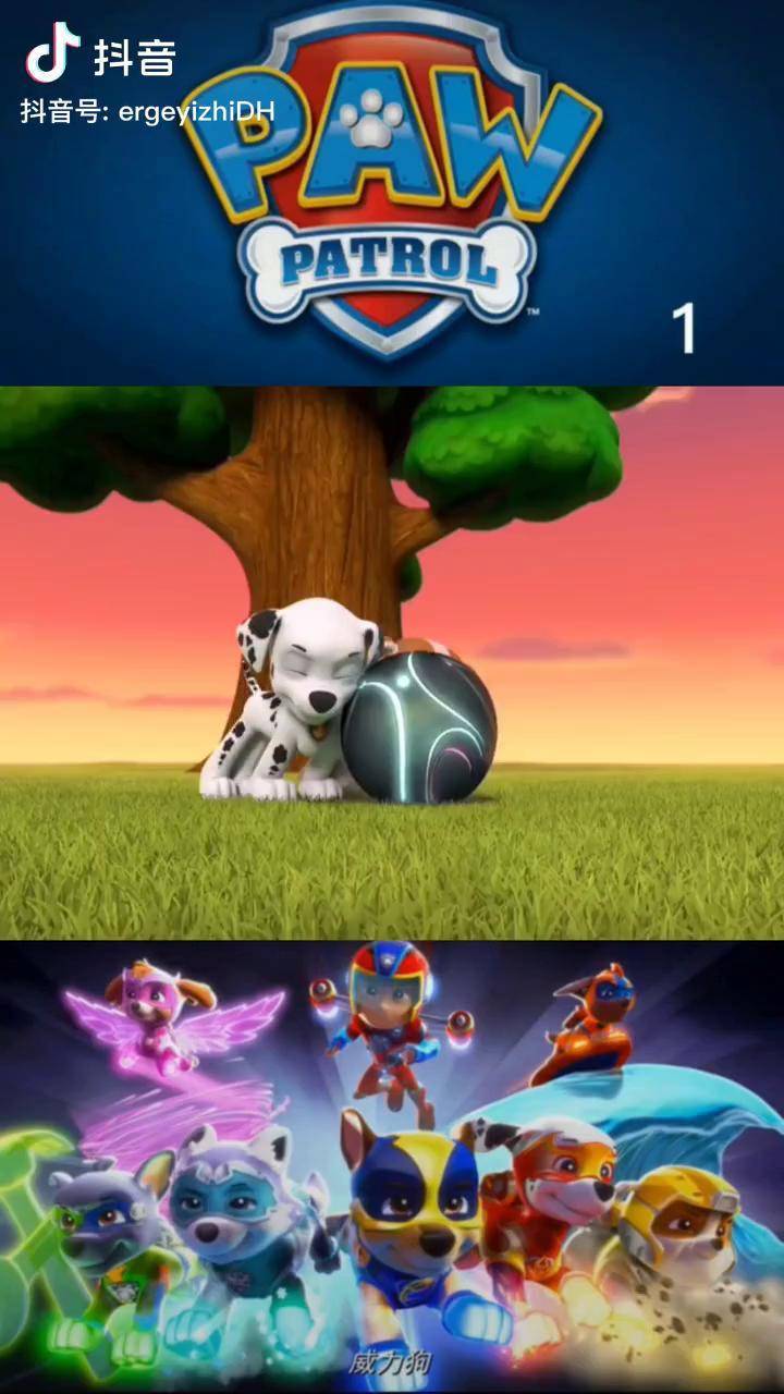 我就是这条街最靓的仔 儿歌益智动画 汪汪队立大功 儿童动画 启蒙早教