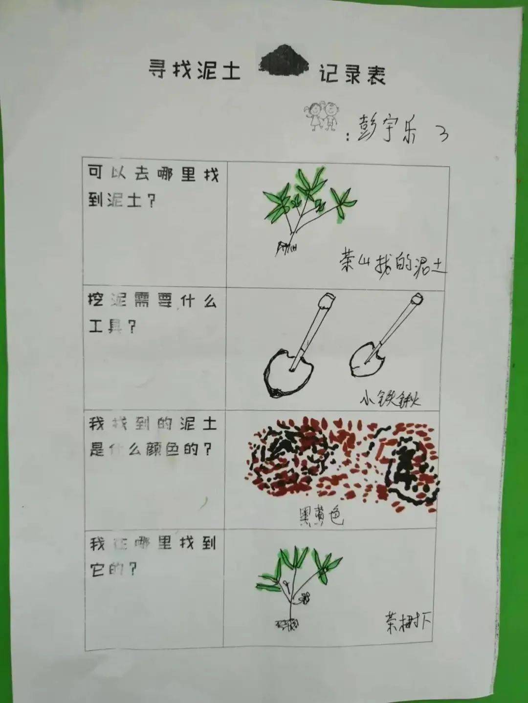 小班种子调查表图片