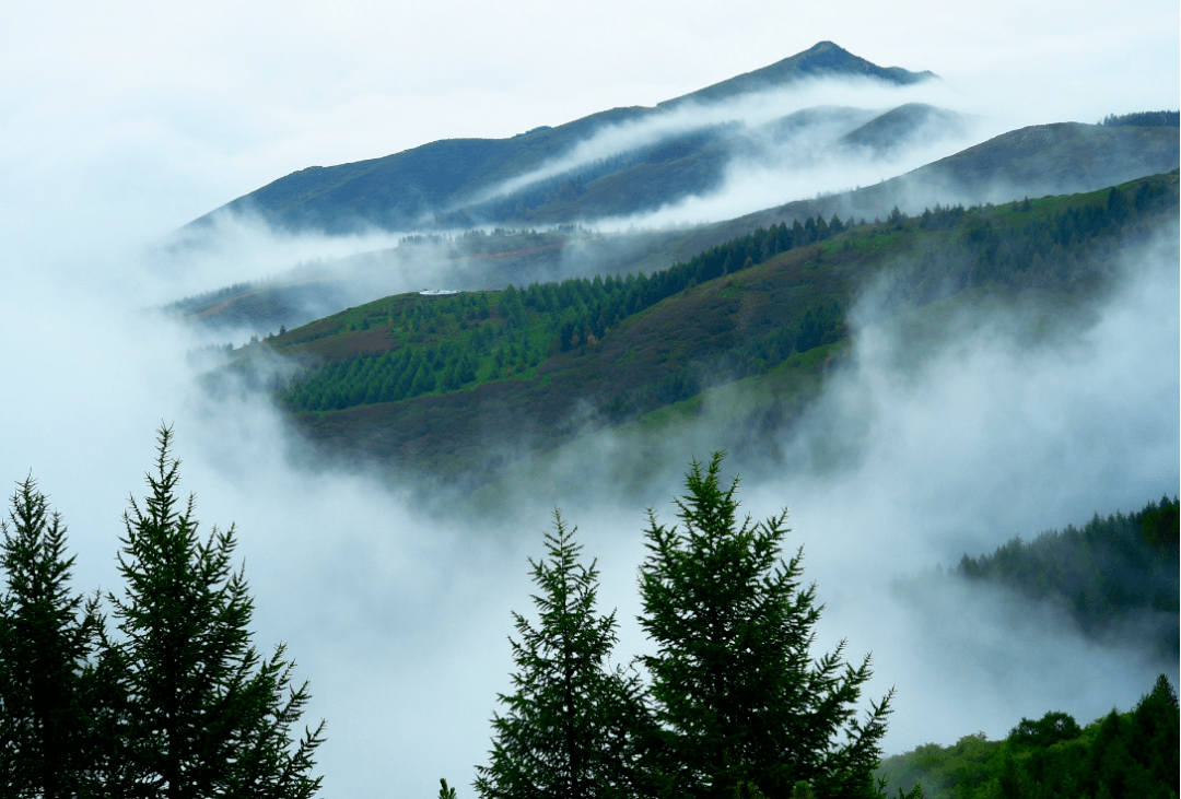 乌兰察布市兴和县位于内蒙古自治区中南部,是自治区对外开放的南大门
