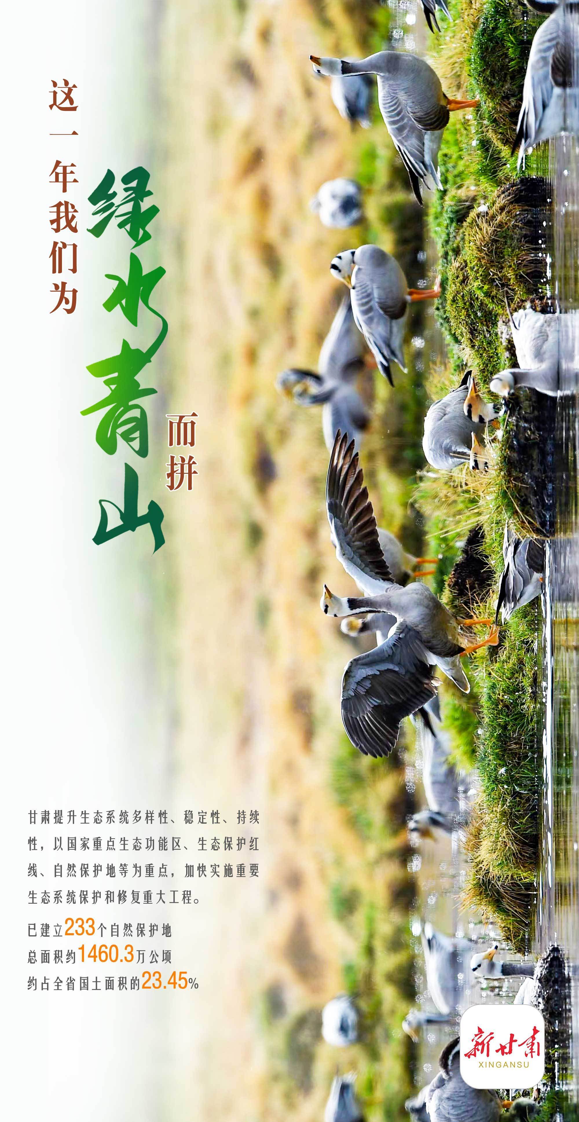 【微海报】这一年我们为绿水青山而拼