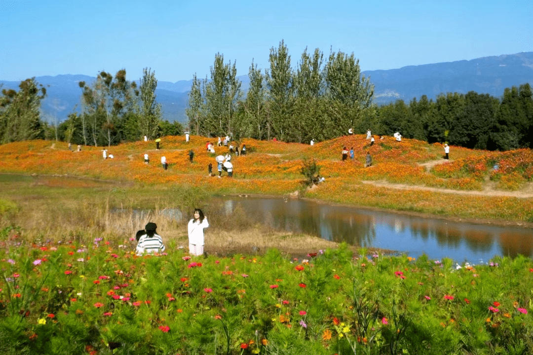 坐上动车来"晒太阳" 西昌"康养大餐"已备好!_阳光康_成都_风暴