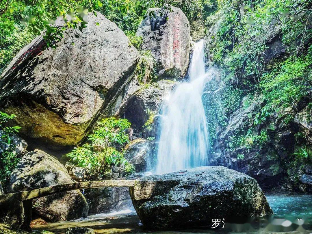 生机盎然……△晚景 公羽摄秋风瑟瑟吹出了属于罗浮山的彩林白莲湖