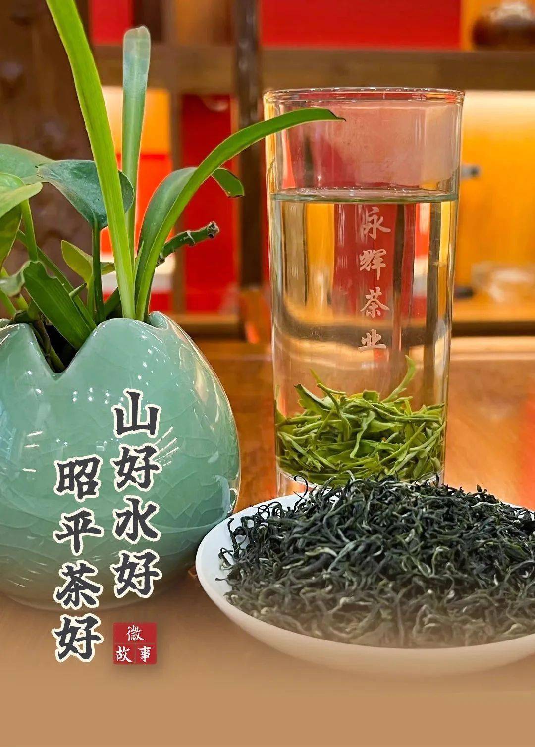 山好水好 昭平茶好