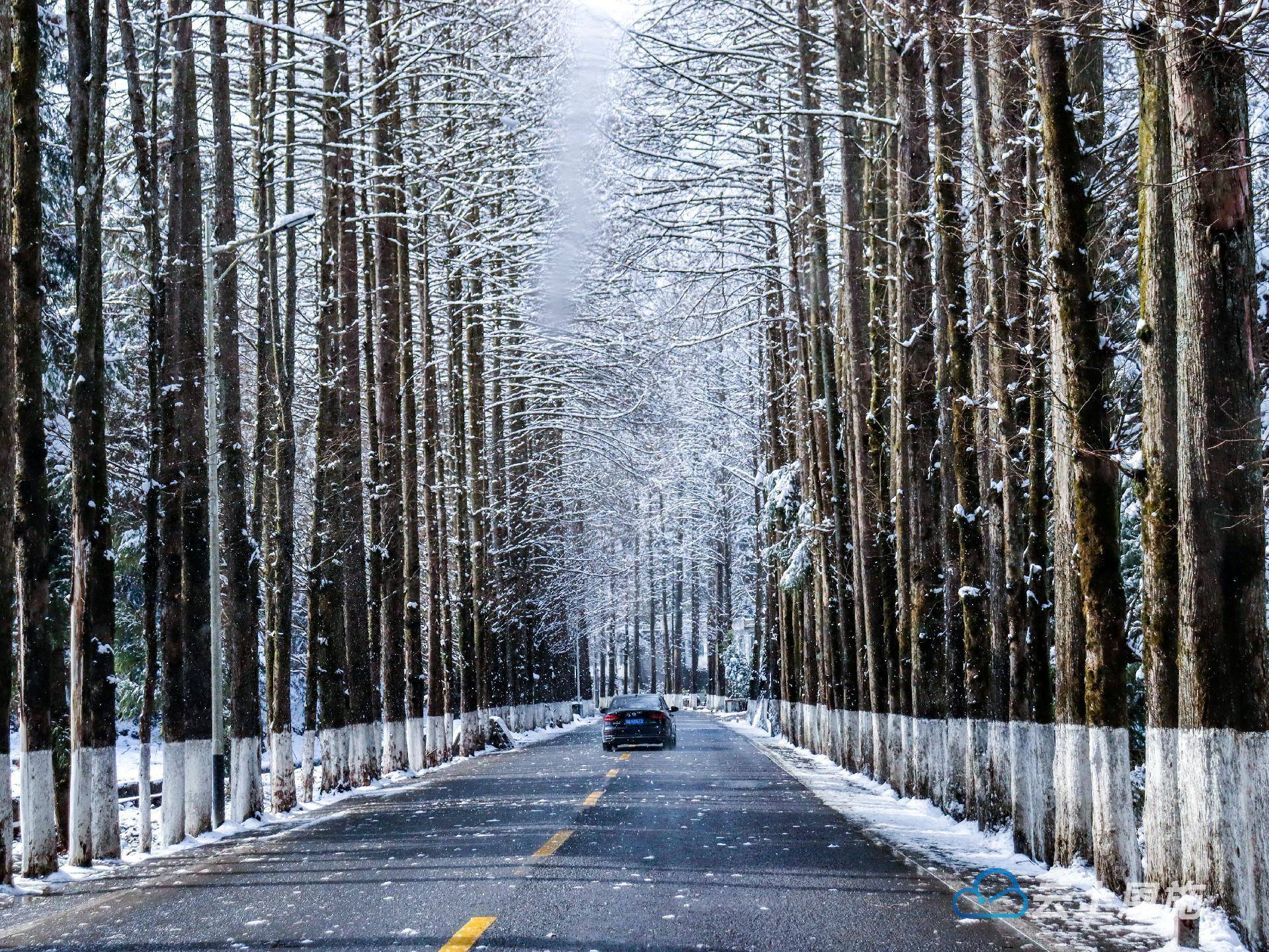 利川雪景图片