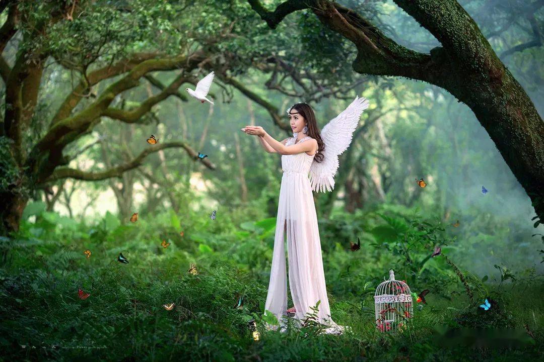 【天使的翅膀】忧伤感人,百听不厌(萨克斯唯美音乐)_生命_深情款款