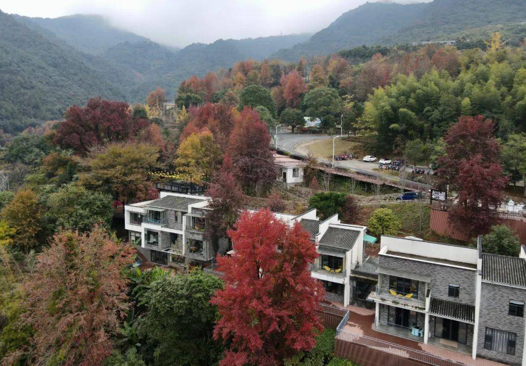 關注我們公眾號:大餘文旅視頻號:大餘文旅來 源:大餘丫山旅遊度假區編