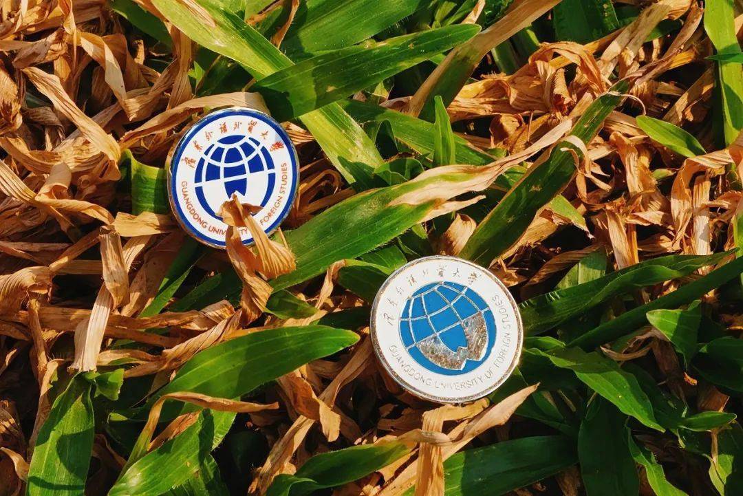 元旦快乐 | 新年第一天,一起来寻找广外校徽!_校园_一代_角落