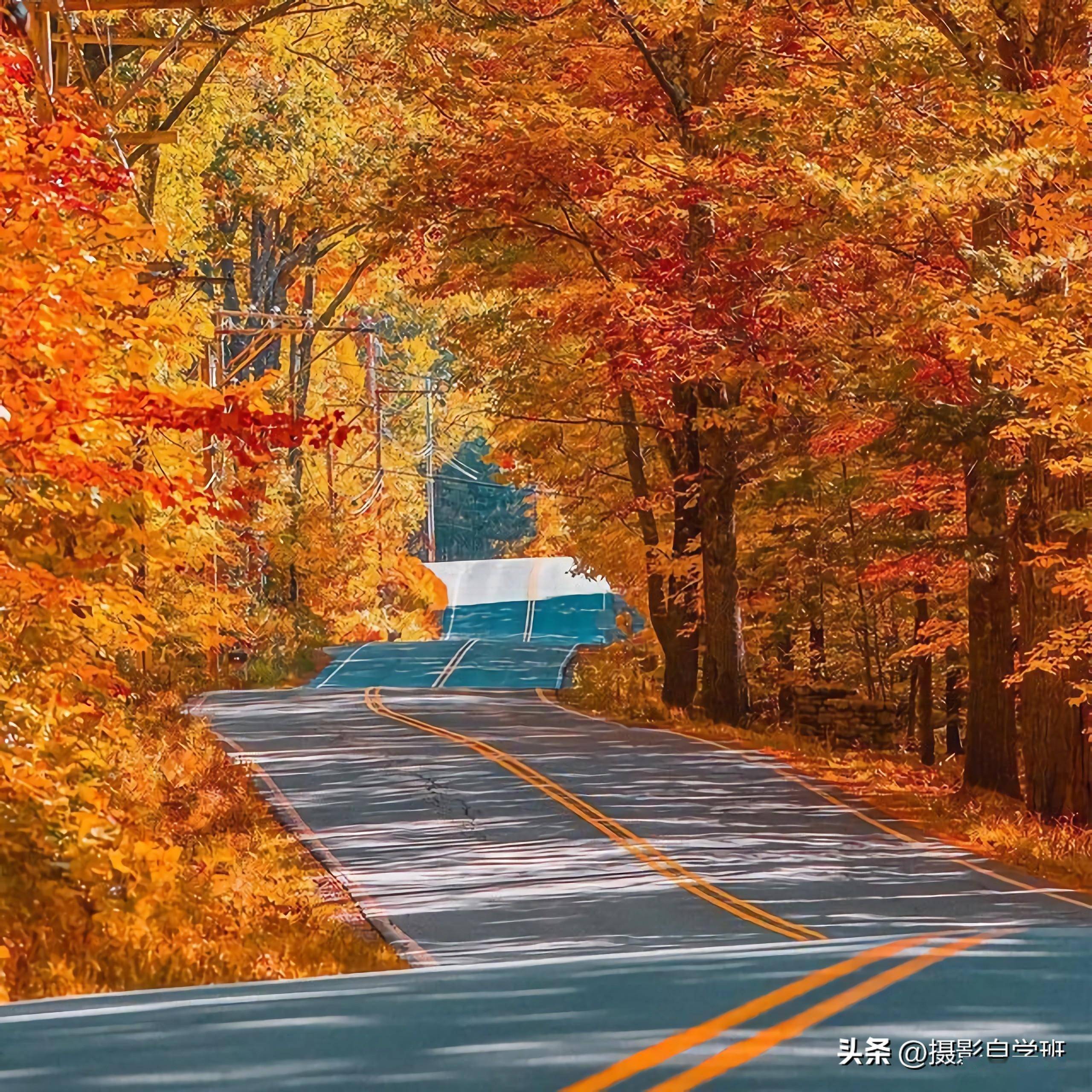 新手用5句摄影口诀,拍美风景!_照片_画面_时候