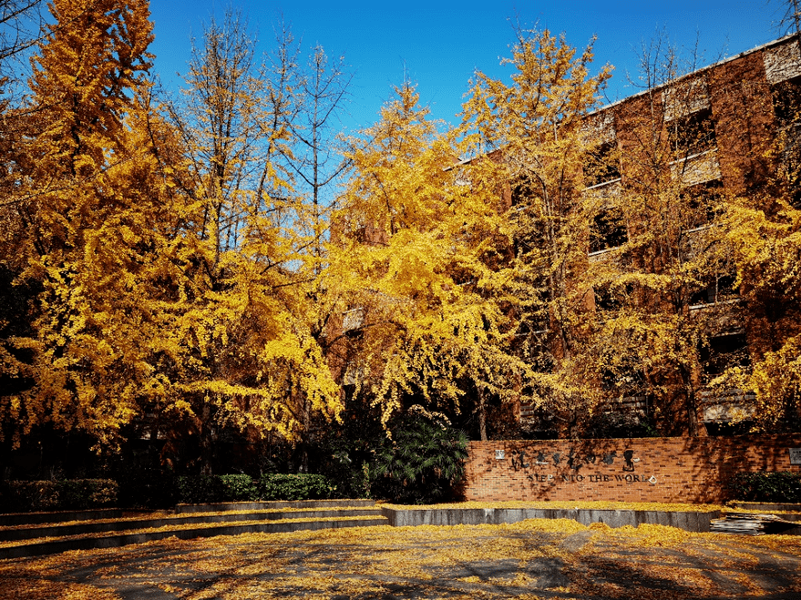 华西中学图片