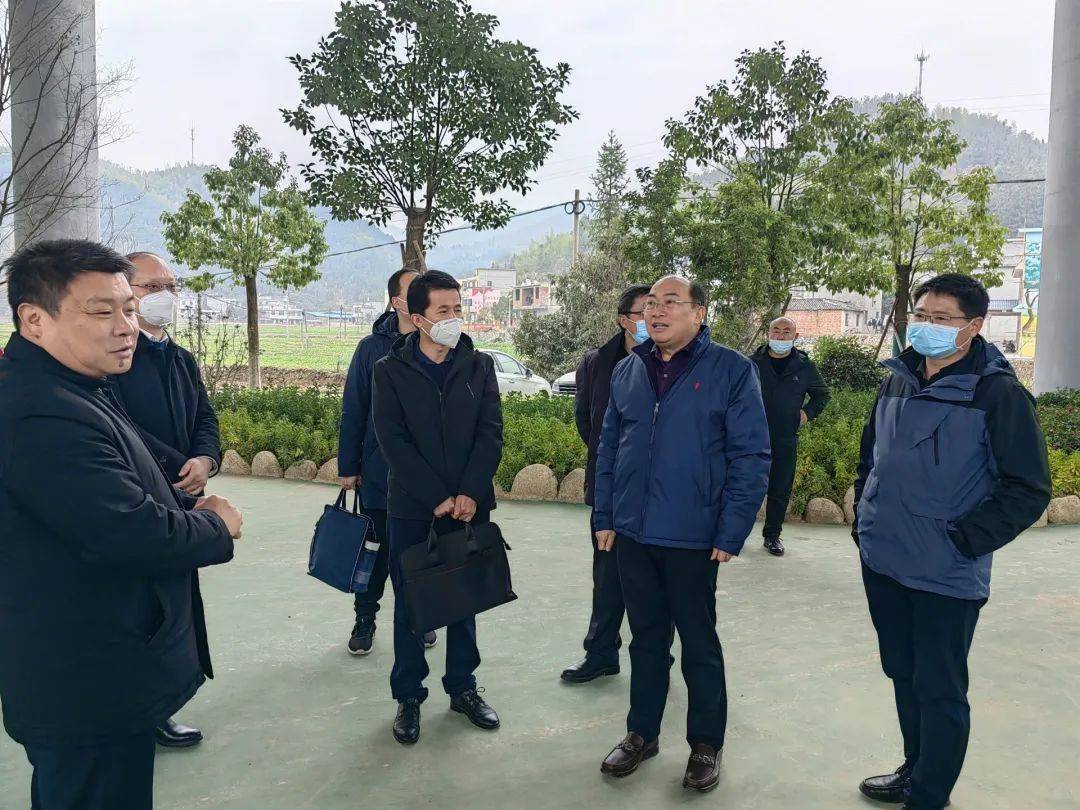 省市学教办领导来通山考核党员干部下基层察民情解民忧暖民心实践活动