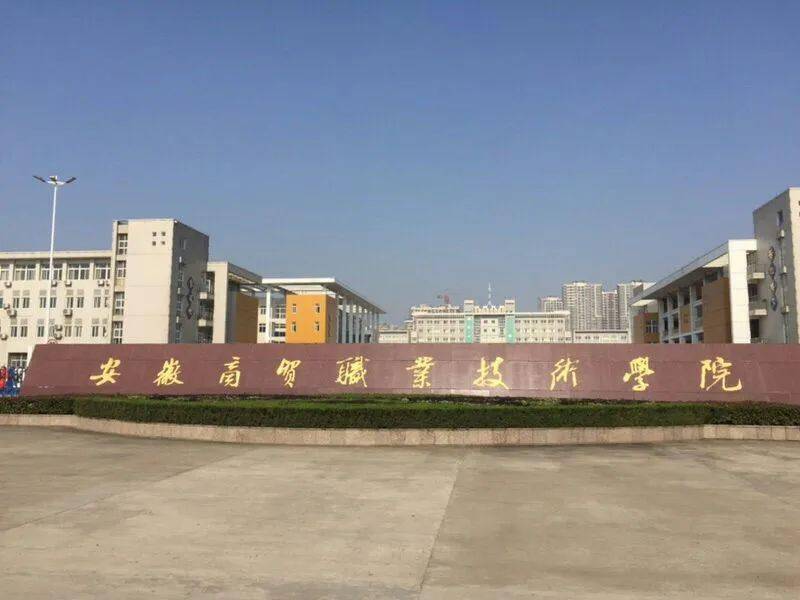 芜湖扬子学校图片