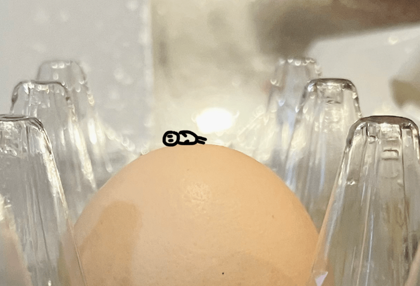 小兜想要看看对面的小山是什么,于是拿出了昨天学走钢丝用的杆子,一个