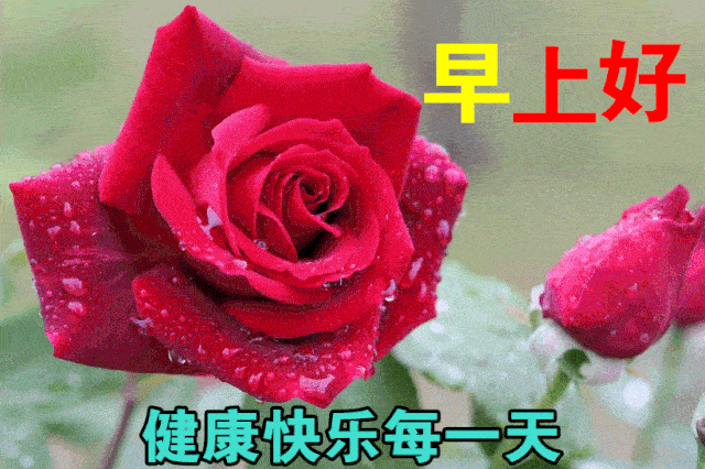 早上好，1月7日，祝你吉祥安康、好运、一切顺利_祝福_生活_问候