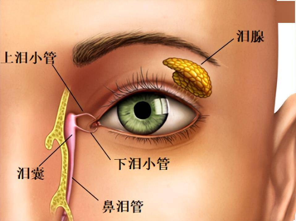 泪腺堵塞怎么治疗最好图片