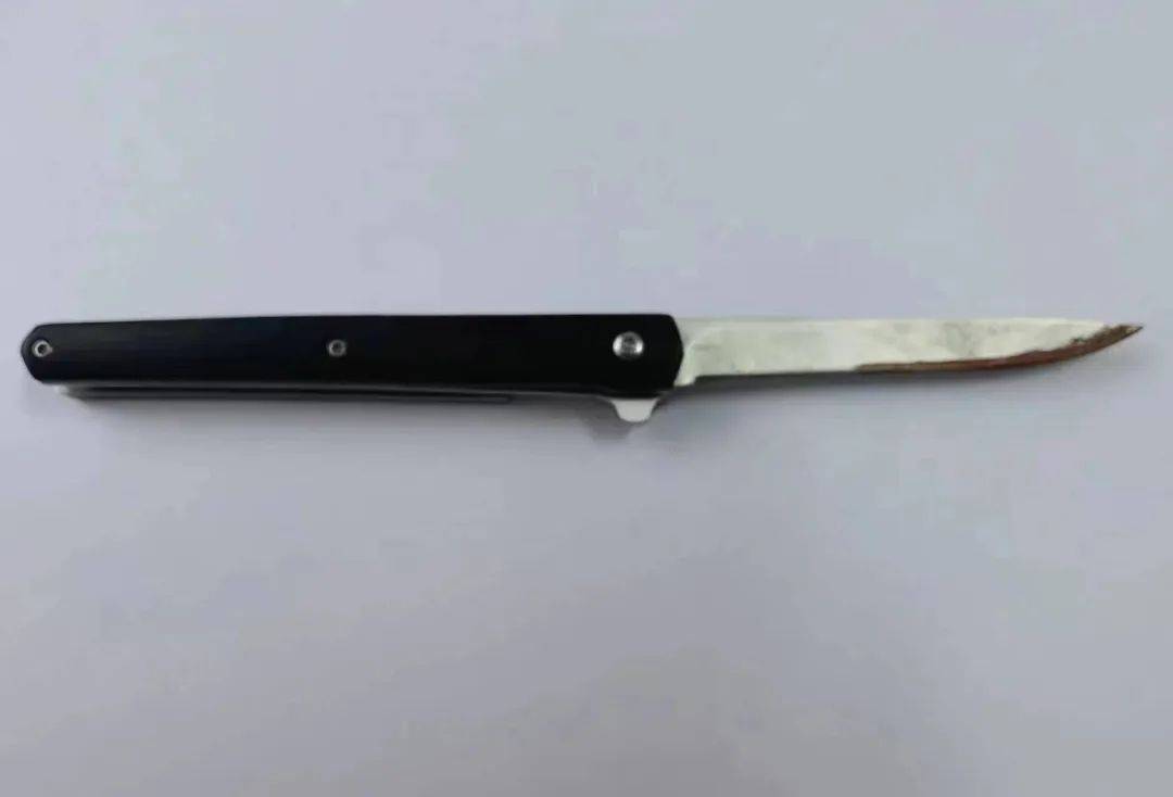 吉林市发生重大刑事案件!搜寻过程中犯罪嫌疑人持刀刺向警察_丁磊_杨某某_刑警大队