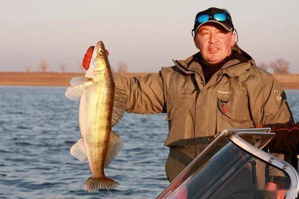 兴凯湖的"嫁妆":我国放流20万尾大白鱼,俄罗斯"坐享渔利"?