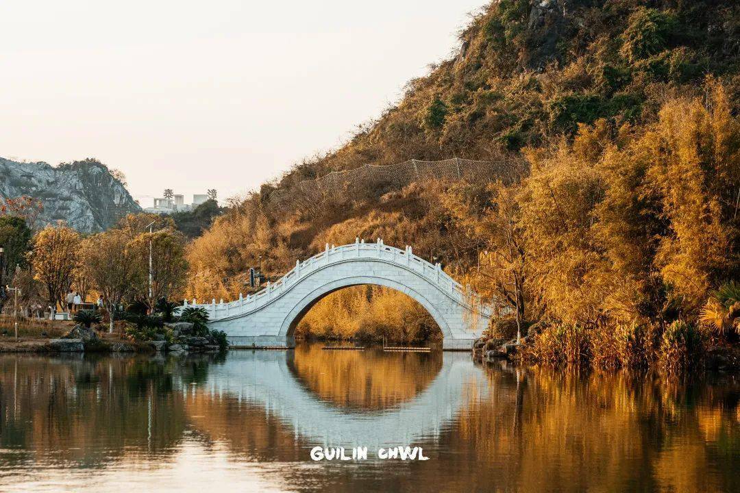 桂林城区这个公园大变身,惊艳全城_水杉_山水_临桂