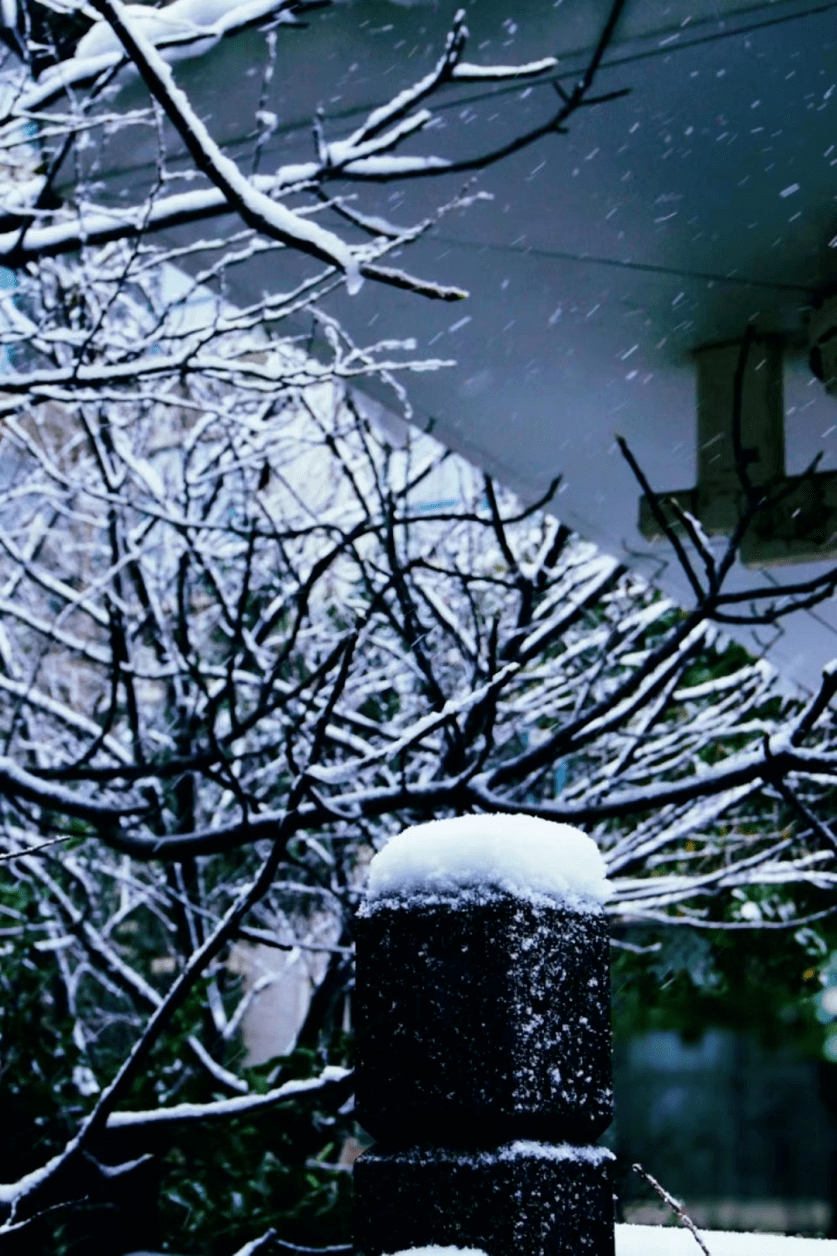 盼得初雪迎新岁,研star家乡雪景大赏