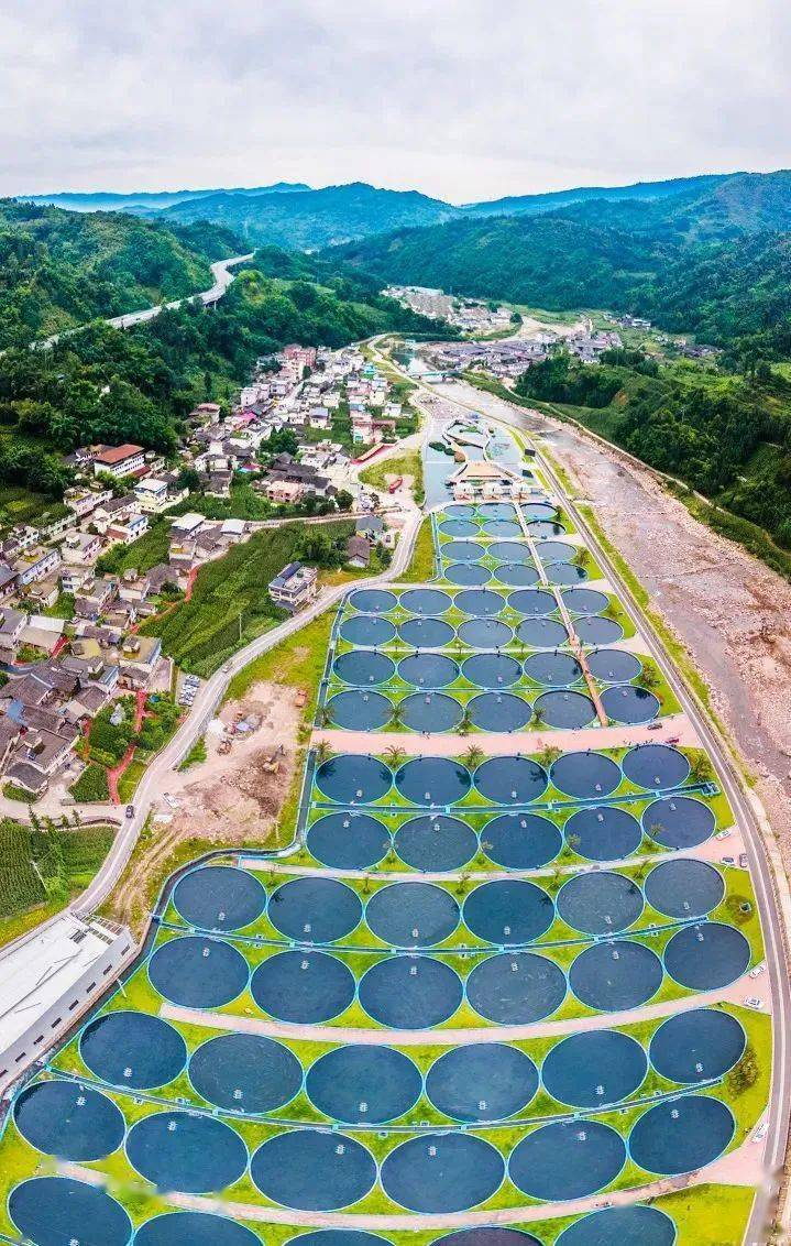 养殖_天全县_国际