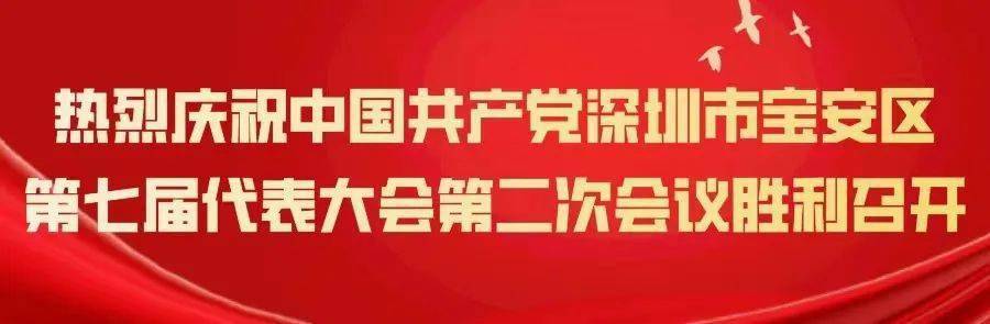 一图读懂丨宝安区七届二次党代会陈述