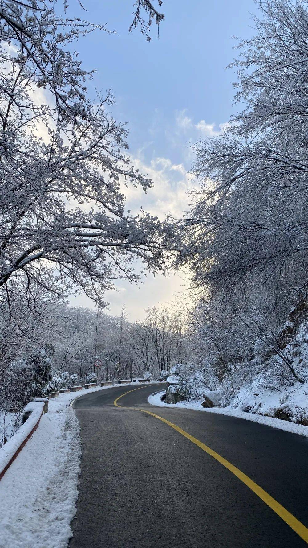 美得猝不及防落在了这苍茫大地上2023年的第一场雪洛阳白云山旅游度假