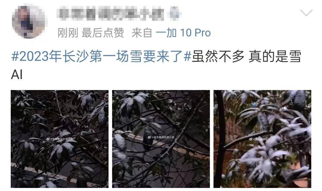 南方小年！2023年长沙的第一场雪来啦！网友在雪地里写下……