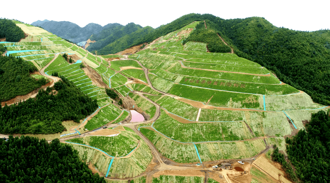 兴国探索市场化推进废弃矿山修复模式!_生态_兴国县_治理