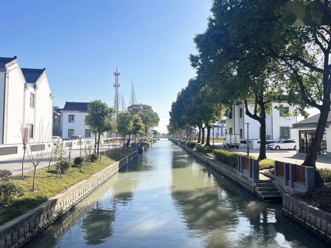 打造花卉产业综合体,重塑村庄形态……叶榭镇井凌桥村这样绘就乡村