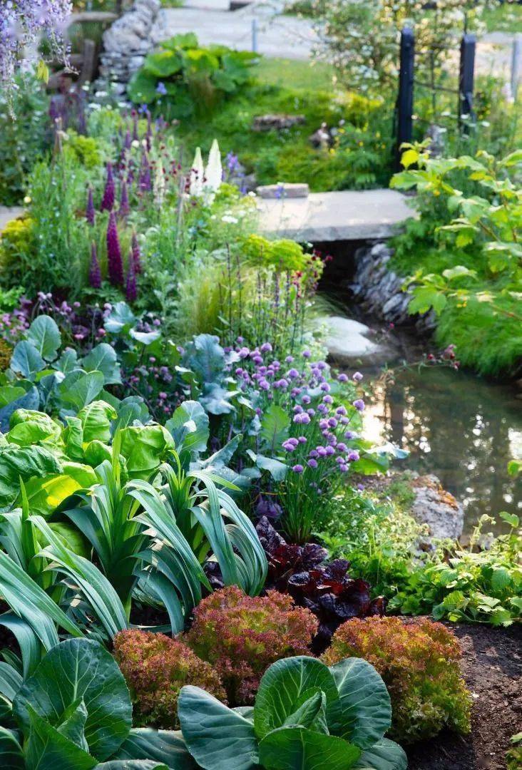 种植_观赏植物_景观