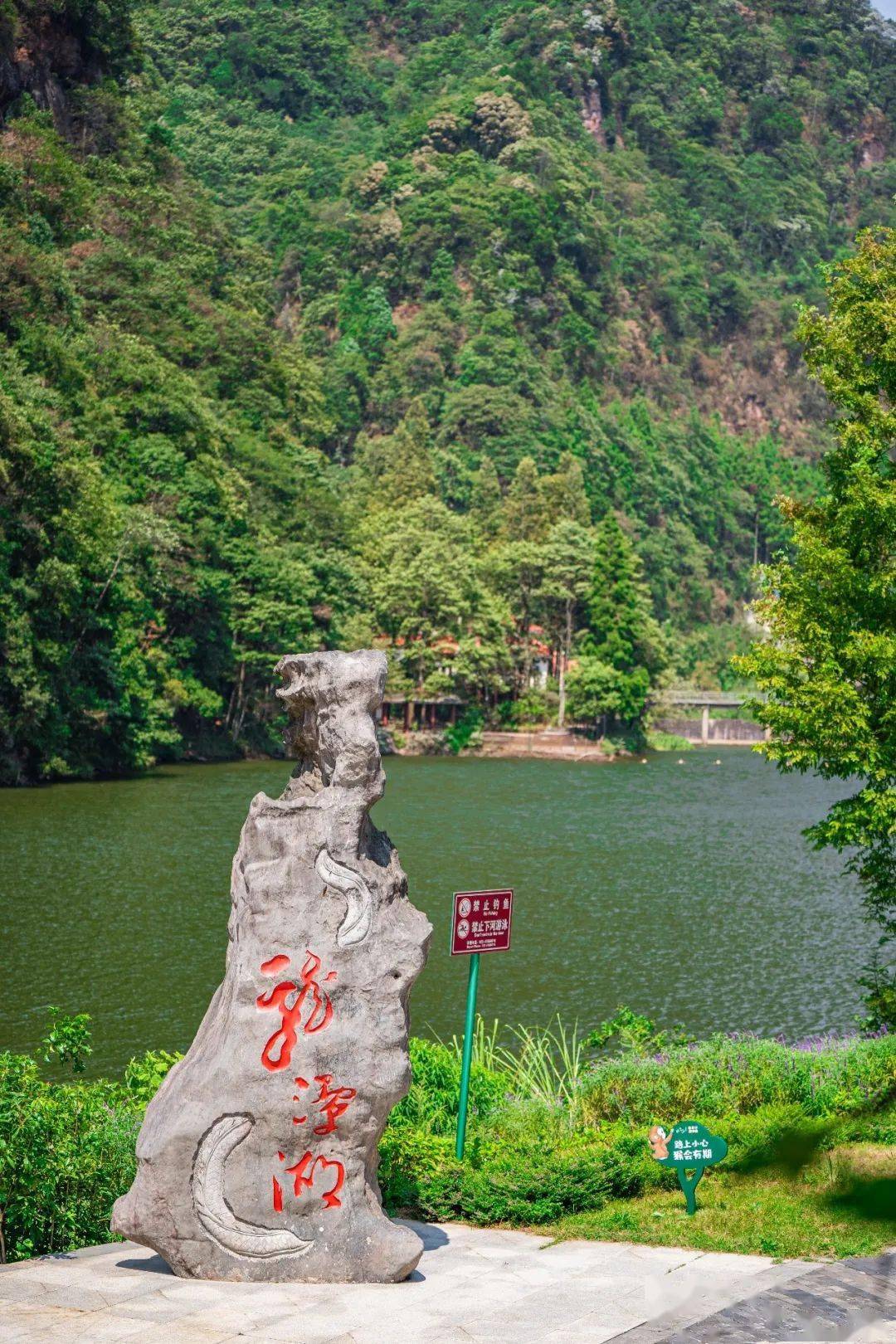 好看好玩更有好礼,收好这份四面山新春系列活动游玩攻略_游客_互动