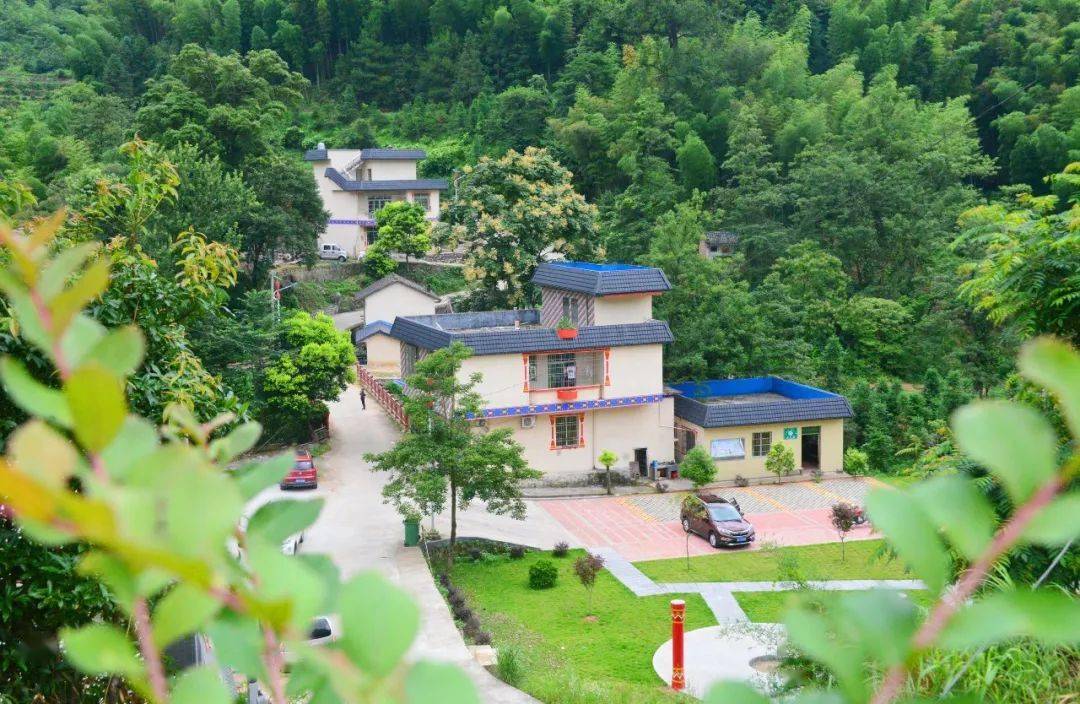 事关每个连州人过大年!这份倡议书请转发扩散_积极行动_村庄_家园