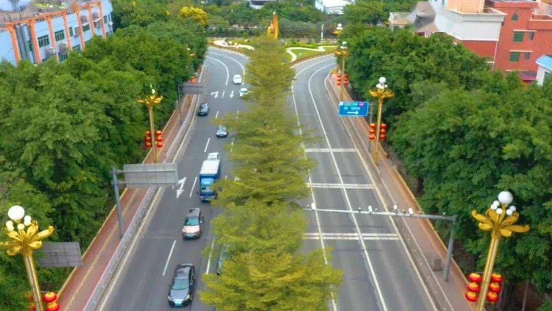 麻涌街頭小景年味濃,歡天喜地迎新年_文化廣場_燈籠_公園