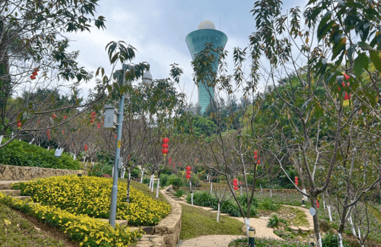 味扑面而来中山公园地铁口美仁园袁厝社区公园▲赵晓鹏 摄东方山庄小