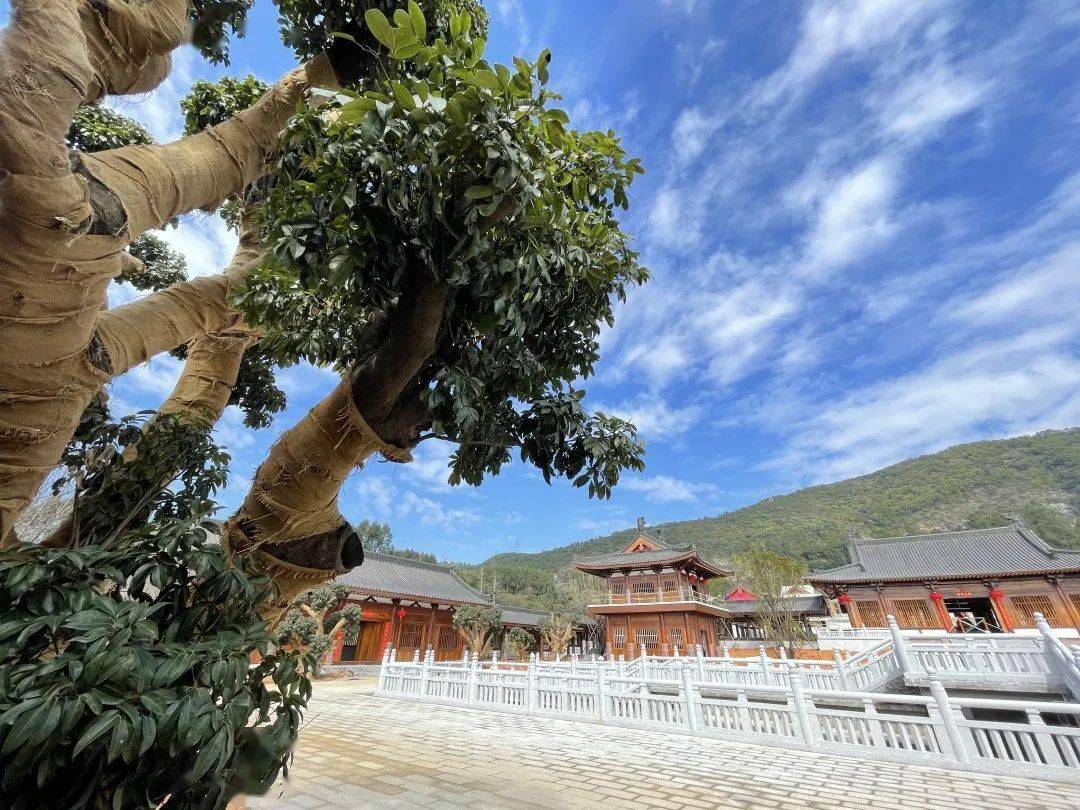 增城这个新景点春节开放!_百花_古寺_建设