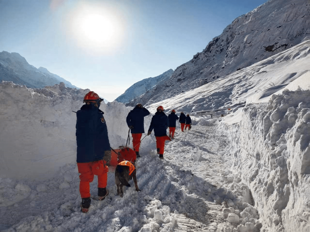西藏林芝派墨公路发生雪崩，已造成8人不幸遇难