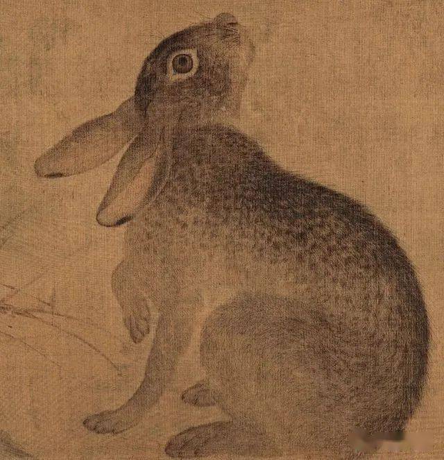 双喜_玉兔_兔子