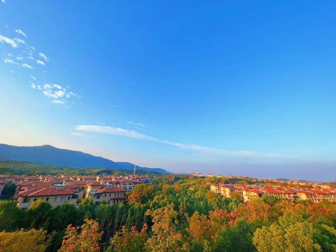 你好,我叫宜兴,这是我的最新简历!_建设_城市_公路