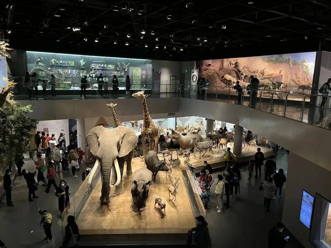 文/傅佳英图/吕璐佳 傅佳英初审/徐昳昀 彭驿涵终审/兰国英返回搜狐