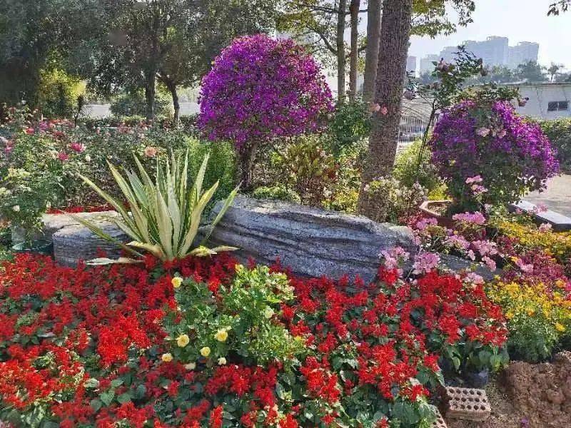 南宁市花卉公园