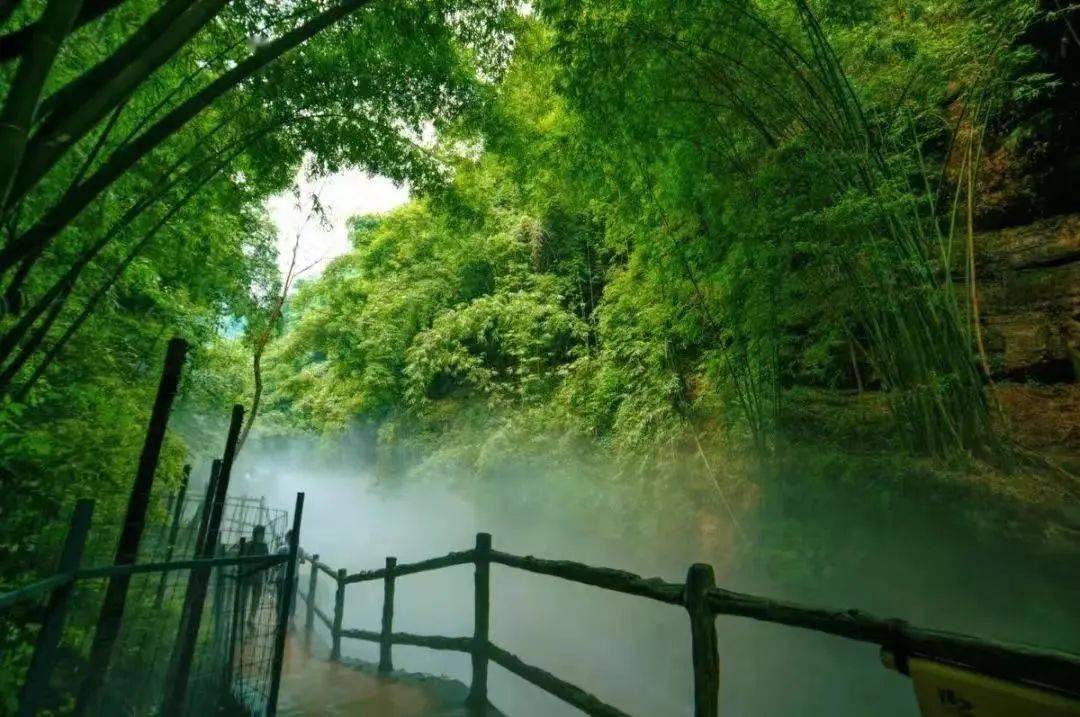nice 兔 meet you|去山里,去竹林间,去好好生活_运动_天台山镇_川西