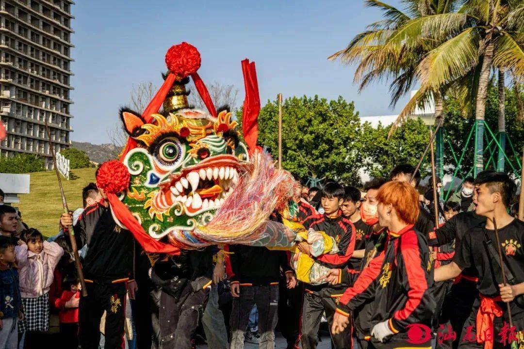 汕尾非遗巡游(多图)