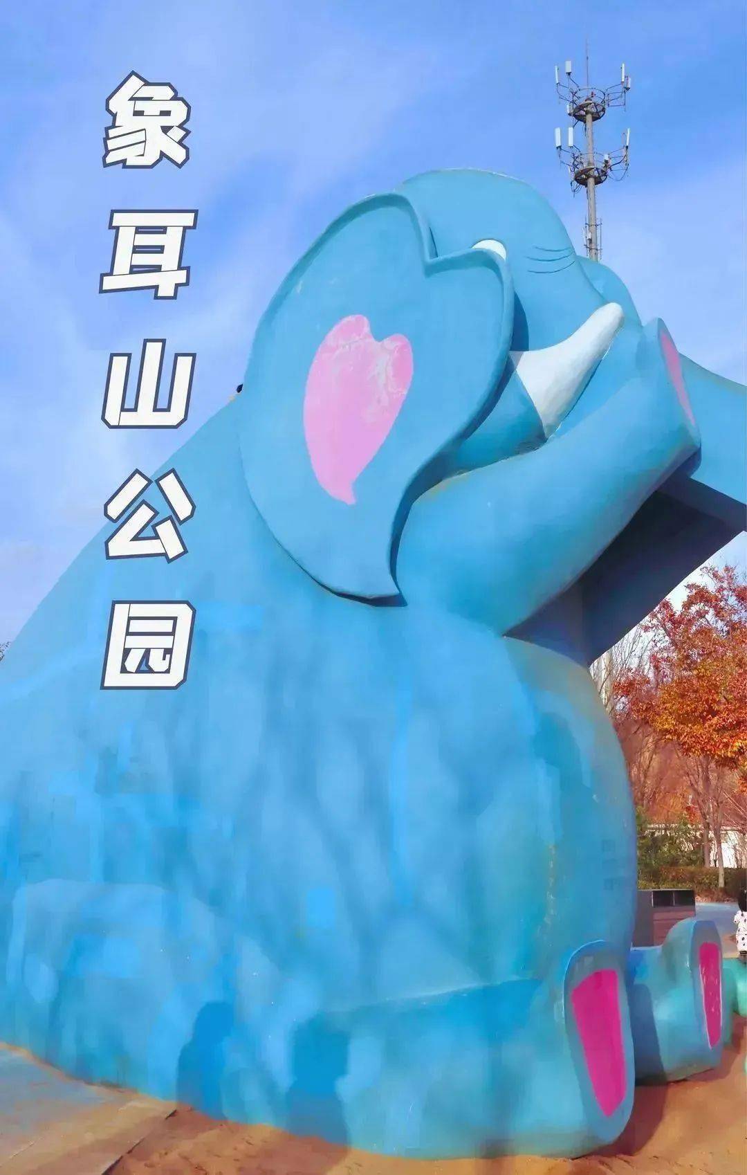 新年新气象,来李沧「兔」个好运!_李村_青岛_公园