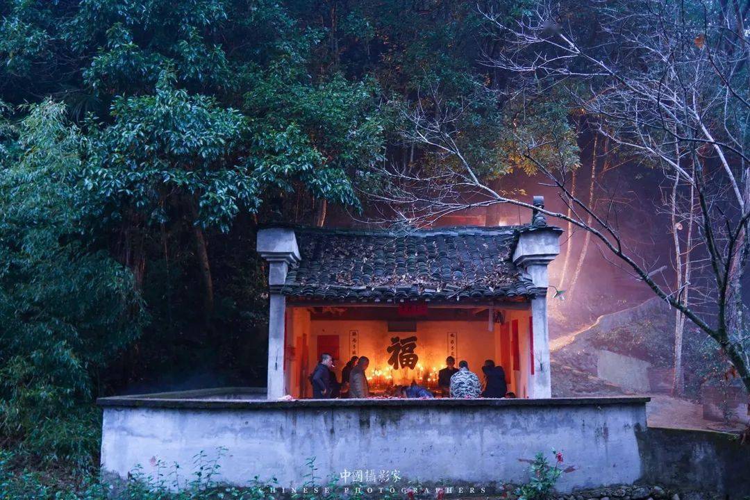 "田园松阳 有机茶乡" ——全国摄影艺术大展作品选登_松阳县_高山茶