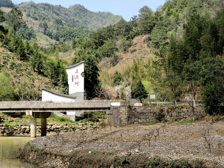 上榜省級名單,桐廬這3個村成示範!_三源村_建設_面積