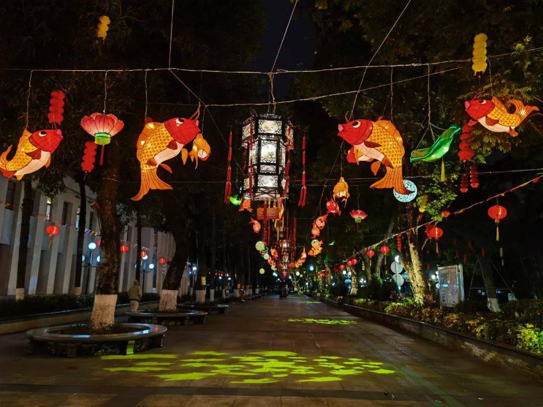 江门新会鱼灯高高挂……_鲤鱼_活动_李健华