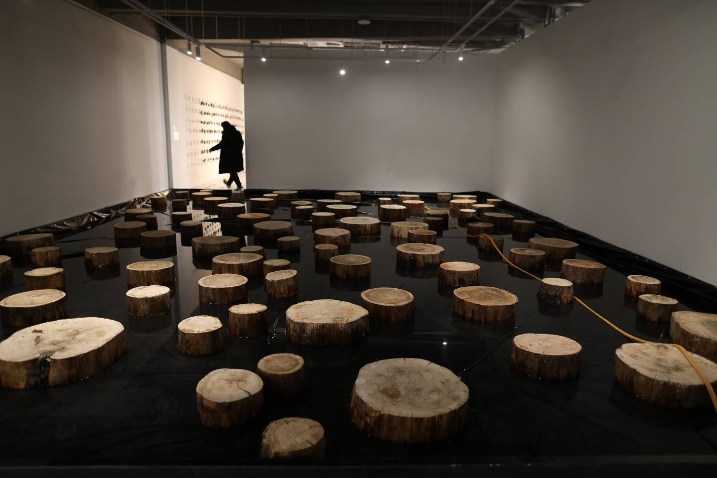 探展|走进首届北京艺术双年展,感受北京的浪漫_展览_作品_文化