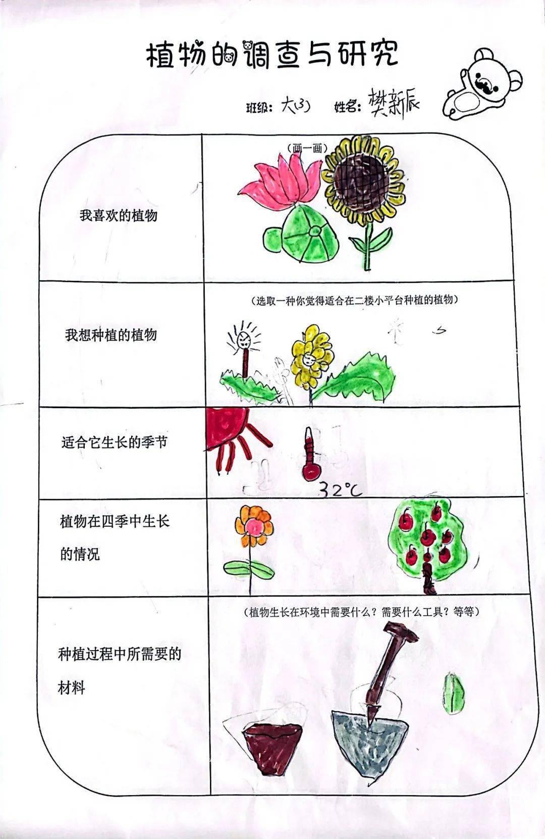 有用的植物调查表图片